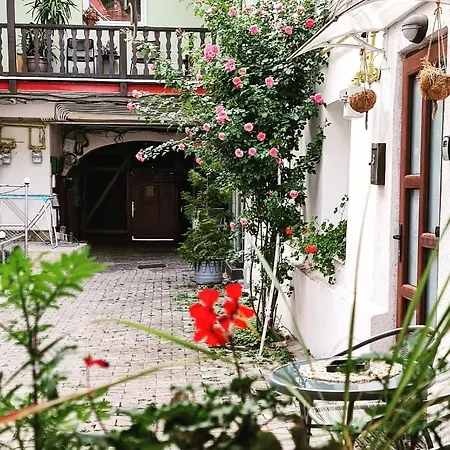 Apartment Center Nr 5