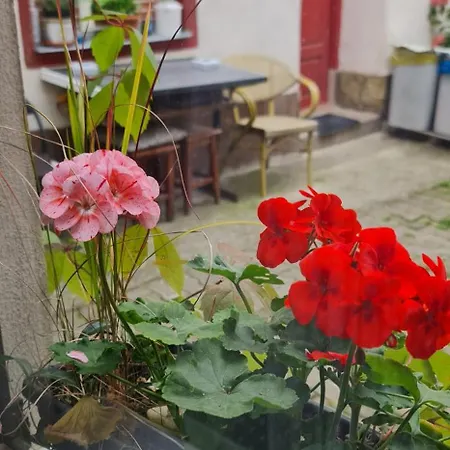 Center Nr 5 아파트 브라쇼브