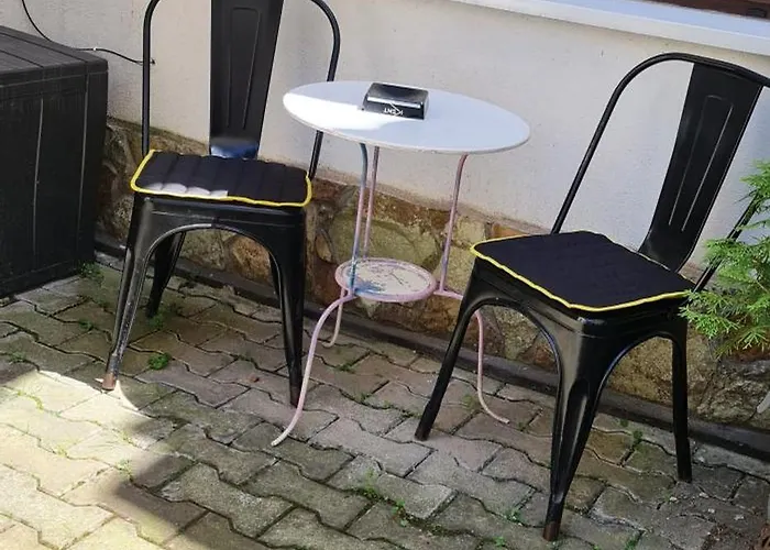 Center Nr 5 布拉索夫