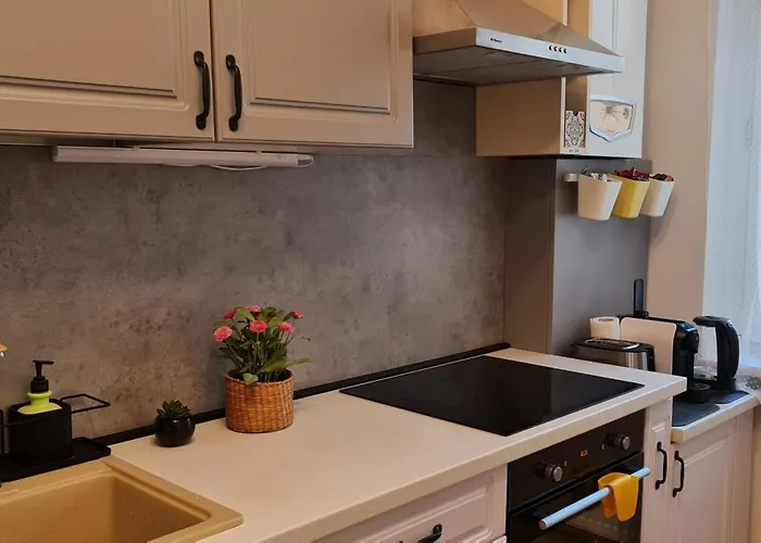 Center Nr 5 公寓 *