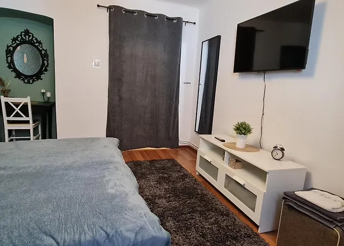 公寓 Center Nr 5 布拉索夫