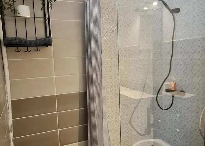 Center Nr 5 公寓 布拉索夫