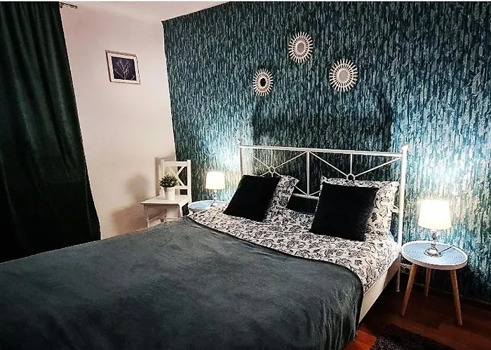 Center Nr 5 * 布拉索夫