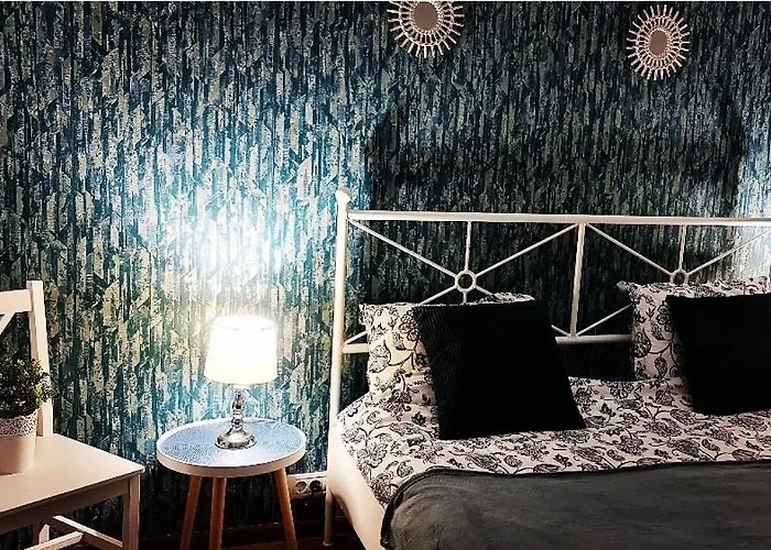 Center Nr 5 公寓 布拉索夫