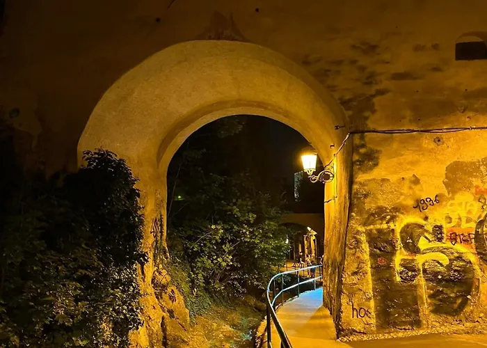 Center Nr 5 * 布拉索夫