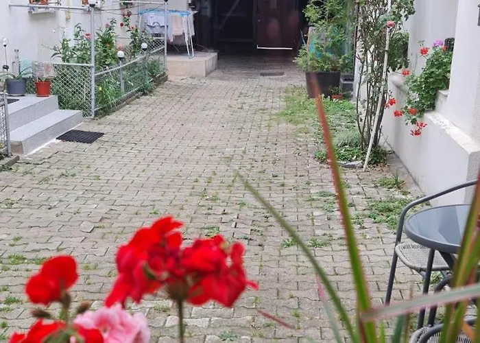 Center Nr 5 公寓 布拉索夫