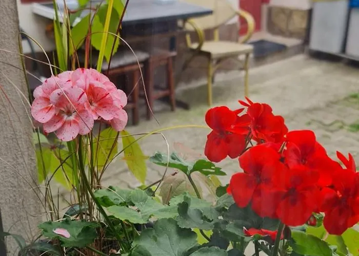 Center Nr 5 公寓 布拉索夫